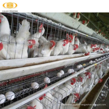 Multi-tiers chicken poultry farm battery chicken layer cage